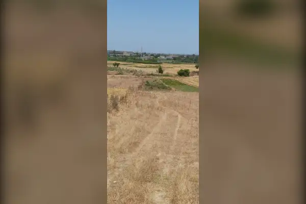 زمین قیمت مناسب ۶۰۰ متر در روستای جامخانه - تصویر 2