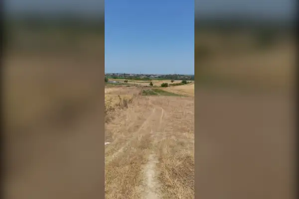 زمین قیمت مناسب ۶۰۰ متر در روستای جامخانه - تصویر 3