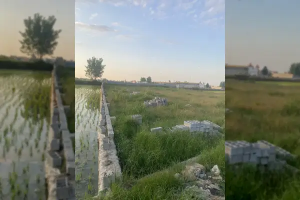 فروش زمین ۱۵۰۰ متری دید مستقیم به کمربندی - تصویر 4