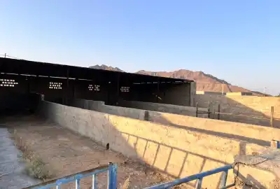 فروش زمین گاوداری واقع در مجتمع دامداری فراغه