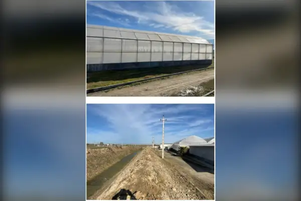 فروش گلخانه به مساحت ۱۴۰۰۰مترمربع - تصویر 2