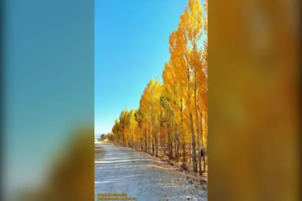 فروش زمین دشتروم امیر آباد دمکره معلم ها ۱۰۰۰ متر - تصویر 2