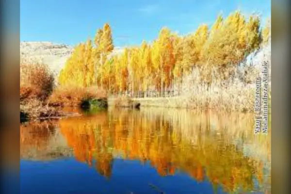 فروش زمین دشتروم امیر آباد دمکره معلم ها ۱۰۰۰ متر - تصویر 3