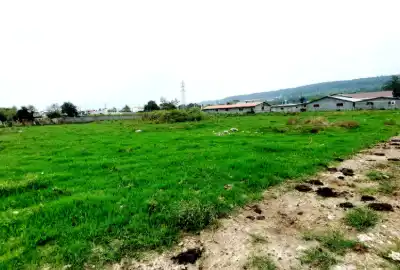 فروش زمین ونوش ۵۰۰ متر
