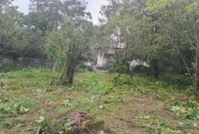 فروش زمین ۲۱۶ متری داخل روستای حلیمه جان
