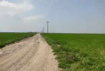زمین کشاورزی همراه با مجوز مرغداری گوشتی ۴۰هزار تایی