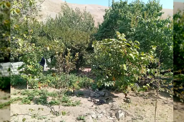 باغ ۴۱۳ متر سنددار بر آسفالت اصلی سولقان محله قاضی - تصویر 2