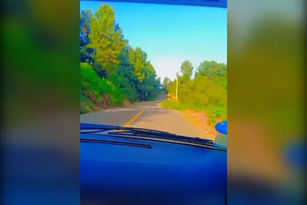 فروش زمین مسکونی ۲۵۰ متر جیرده روستای کمسار بزرگ - تصویر 3