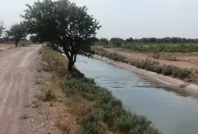 فروش زمین ۶۶۰۰ متری در هادی آباد قزوین