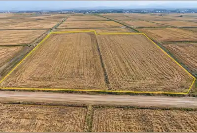 زمین کشاورزی طرح ژاپن روستای خاصکلا ۶۰۰۰ متر
