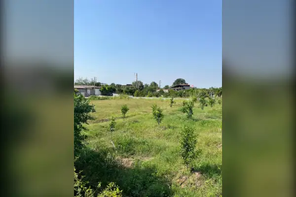زمین باغی الحاق به بافت ۶۷۷ متر بر اصلی خیابان محل - تصویر 2