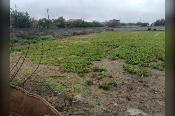 زمین برای فروش ۴۷۰ متر مازندران بابل جاده بندپی - تصویر 2
