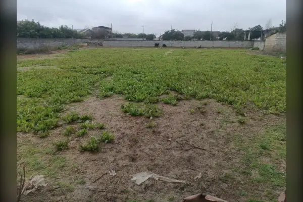 زمین برای فروش ۴۷۰ متر مازندران بابل جاده بندپی - تصویر 3