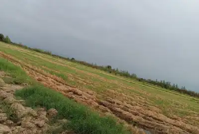 زمین کشاورزی گهرباران ۷۵۰۰ متر روستای دلمرز