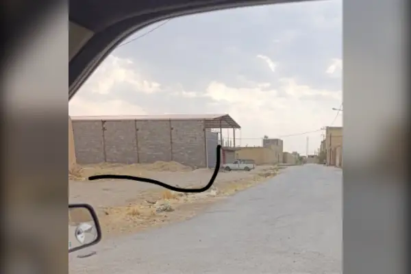زمین مسکونی بوبوک آباد ۲۰۶ متر - تصویر 2