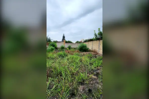 فروش زمین ۴۵۰متری واقع در کمربندی غربی - تصویر 2