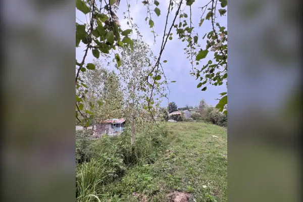 فروش زمین ۳۶۴متری شفت روستای چماچا - تصویر 3