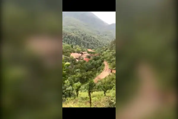 فروش زمین ۵۰۰ متری نشتارود روستای زیبای دینارسرا - تصویر 2