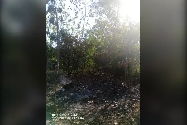 فروش زمین حدود ۷۰۰ متر مسکونی بافت روستایی - تصویر 3