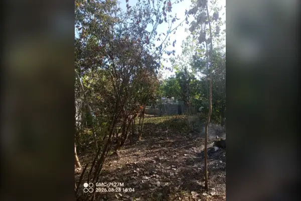 فروش زمین حدود ۷۰۰ متر مسکونی بافت روستایی - تصویر 4
