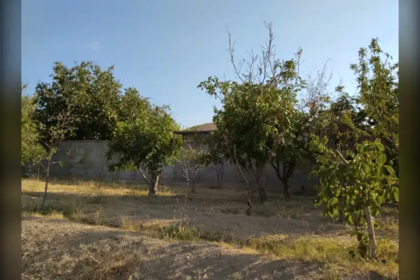 فروش باغ ۳۸۰ متری داخل روستای بیدک - تصویر 3