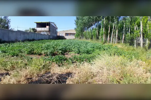 فروش زمین ویلایی ۶۳۰متر بر جاده اصلی آب گرم سردابه - تصویر 2