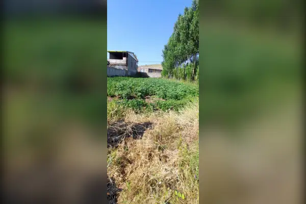 فروش زمین ویلایی ۶۳۰متر بر جاده اصلی آب گرم سردابه - تصویر 3