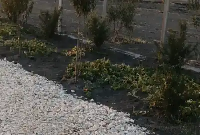 زمین باغی ویلایی ۲۵۰ متر جاده زاغمرزه