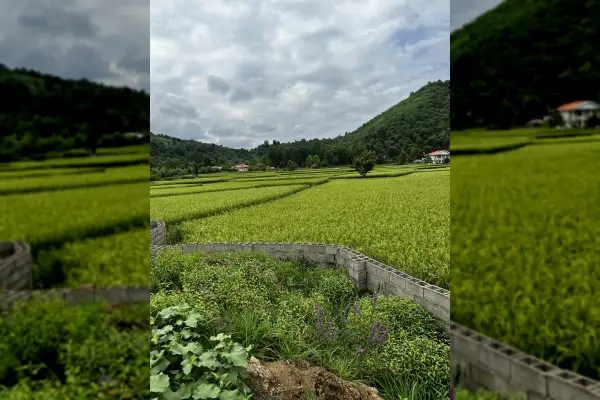 زمین ویو ابدی با انشعابات و جواز ساخت ۴۰۰ متر - تصویر 4