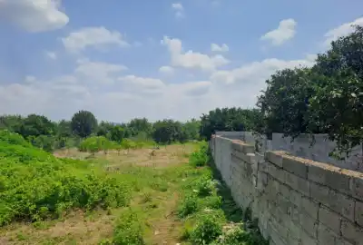 فروش زمین روستایی داخل بافت ۵۷۳ متر قتدیکلا