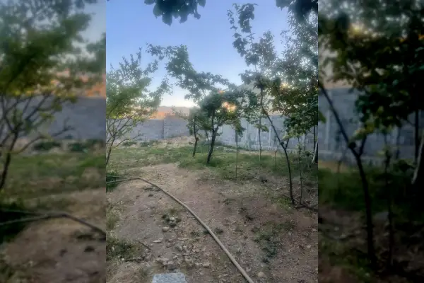 فروش زمین آماده ساخت یا باغ در گیلاوند ۲۵۰ متر - تصویر 2