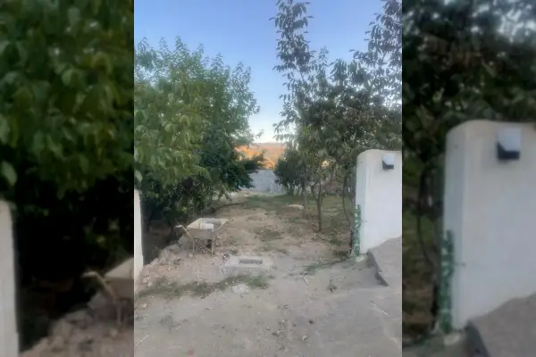 فروش زمین آماده ساخت یا باغ در گیلاوند ۲۵۰ متر - تصویر 4
