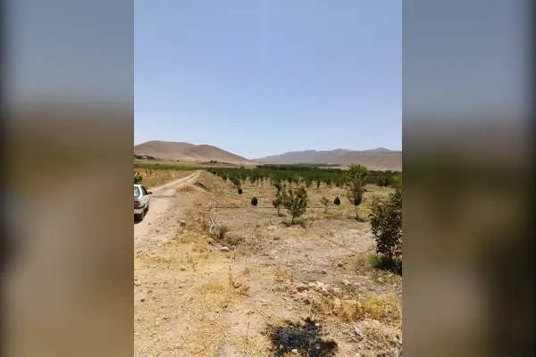 باغشهری ۳ ساله اول جاده بیضاملوسجان ۱۰۰۰ متر - تصویر 4