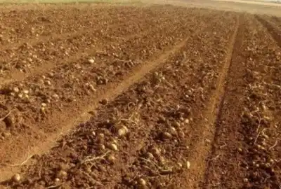 فروش زمین ۴ هزار متری دارای اب روستای سر سبز