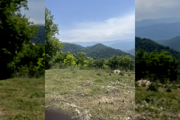 زمین بالای تپه خوش قواره دو نبش ۳۱۳ متر دودانگه - تصویر 3