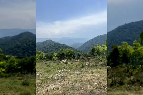 زمین بالای تپه خوش قواره دو نبش ۳۱۳ متر دودانگه - تصویر 4