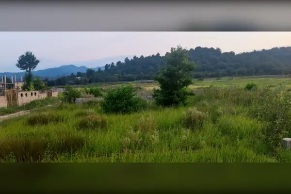 فروش ۳۳۰ متر زمین در تالش - تصویر 2