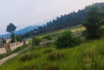فروش ۳۳۰ متر زمین در تالش