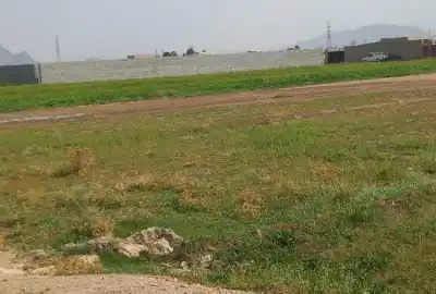 فروش ۷۲۹متر زمین دیوارکشی شده جاده قهدریجان زازران
