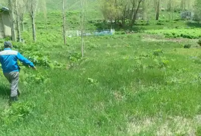 فروش زمین ۵۲۵ متری در روستای آزادبر جاده چالوس