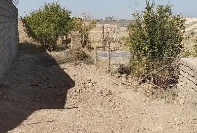 فروش زمین ۱۶۰۰ متر فروتقه