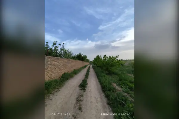 فروش زمین و باغ کشاورزی مشهد بین روستای رضوان و اندرخ ۳۰۰۰ متر - تصویر 3
