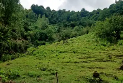 فروش زمین ۱۵۰۰ متر لوندویل روستای سیرالیوه
