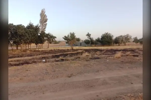 فروش زمین زراعی ۳۱۰ متر شریف آباد - تصویر 4