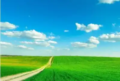 فروش زمین کشاورزی یک هکتار روستای چنارخیری