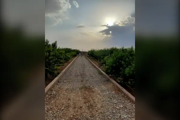 فروش زمین ۱۵۰۰ متر همراه ۱۰۰درخت میوه مثمر یک اتاق جیتو - تصویر 2