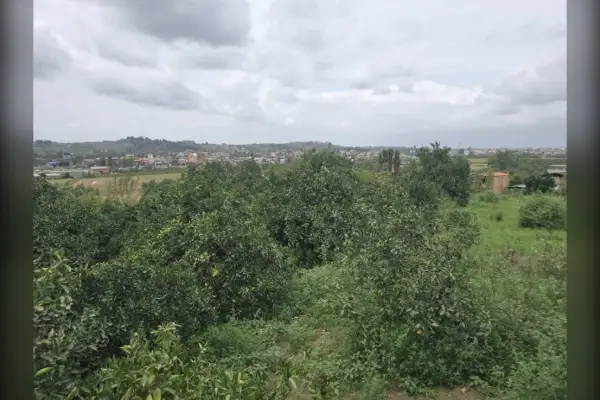 فروش زمین شهرود کلا واسکس ۱۲۵۰ متر - تصویر 2
