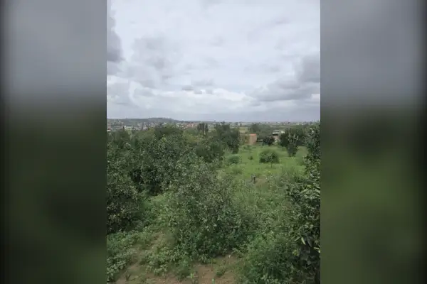 فروش زمین شهرود کلا واسکس ۱۲۵۰ متر - تصویر 4