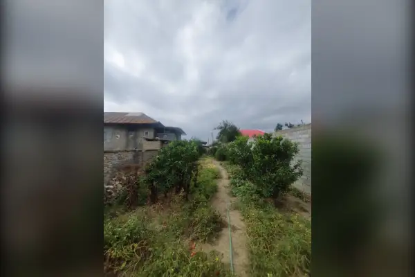 فروش زمین ۳۴۵ متر قائمشهر جاده جویبار روستای موارم کلا - تصویر 3
