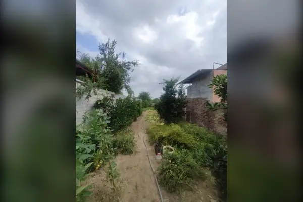 فروش زمین ۳۴۵ متر قائمشهر جاده جویبار روستای موارم کلا - تصویر 4